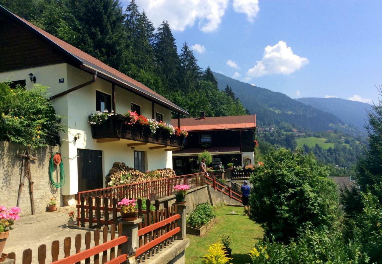 ラーデンタインPanoramahausアパートメント エクステリア 写真